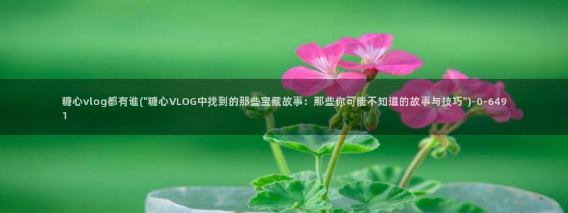 糖心vlog破解免费下载：糖心vlog都有谁(\