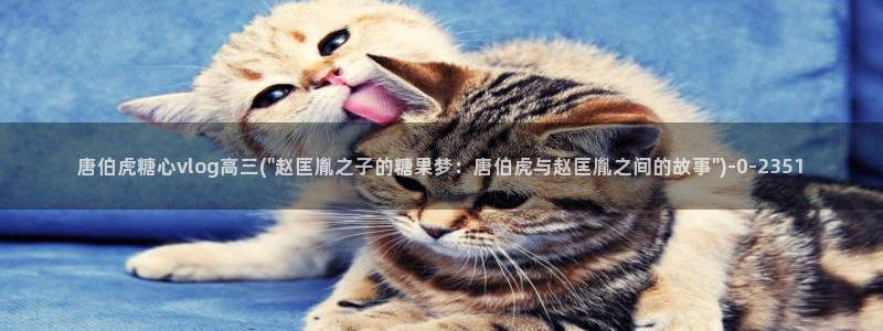 糖心vlog下载方法：唐伯虎糖心vlog高三(\