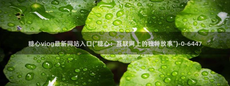 心糖vlog谁最好看：糖心viog最新网站入口(\
