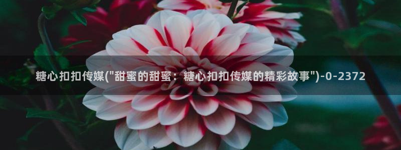 网站糖心vlog：糖心扣扣传媒(\