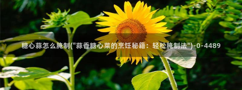糖心vlog梦梦